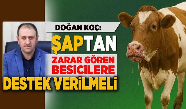 Bingöl’de Şap Vakaları Sonbaharda Arttı