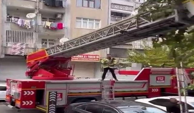 Ağaçta Mahsur Kalan Kediyi İtfaiye Ekipleri Kurtardı