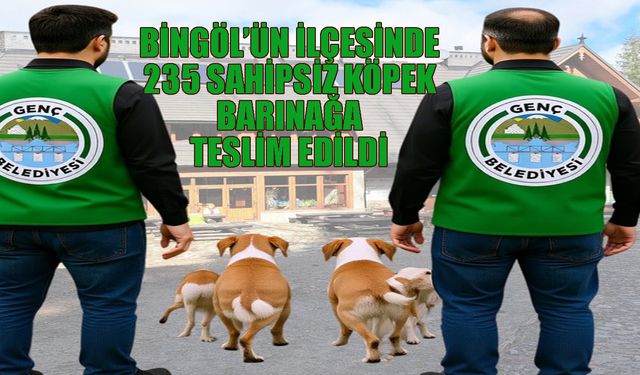 Genç Belediyesi, 9 Ayda 235 Sahipsiz Köpeği Barınağa Teslim Etti