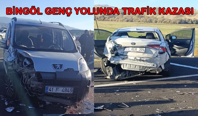 Bingöl Genç Yolunda Kaza: 2 Yaralı