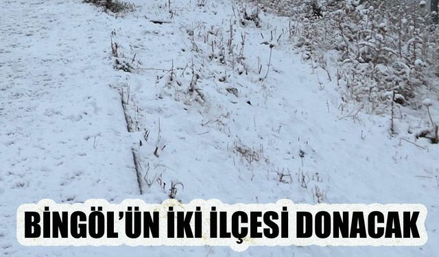 Bingöl'ün iki ilçesi donacak