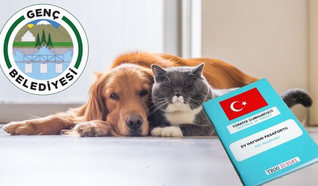 Bingöl’ün İlçesinde Sahipli Kedi ve Köpekler için Kimliklendirme Çağrısı