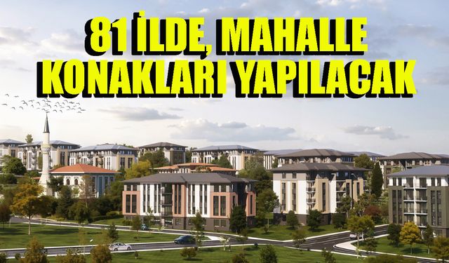81 İlde Mahalle Konakları Yapılacak