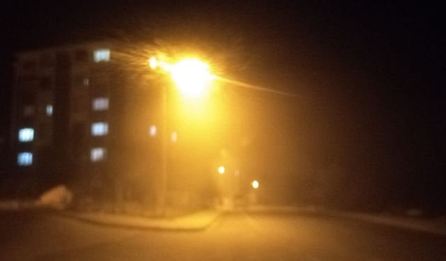 Bingöl'de Yoğun Sis Etkisini Sürdürüyor