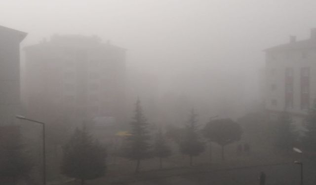 Bingöl’de Yoğun Sis Etkisini Sürdürüyor
