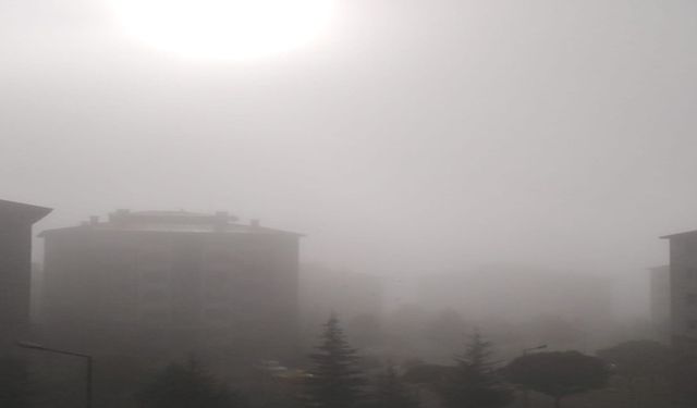 Bingöl'de Yoğun Sis Etkisi