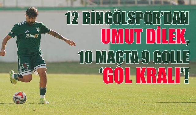 12 Bingölspor’un Golcüsü: Birçok Takımdan Fazla Gol Attı!