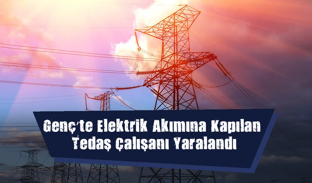 Genç’te Elektrik Akımına Kapılan FEDAŞ Çalışanı Yaralandı