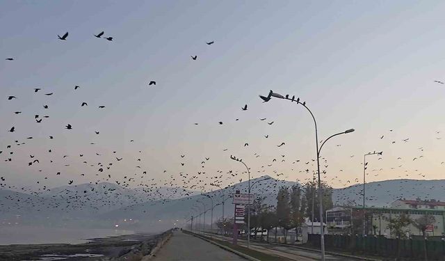 Tatvan Sahilinde Gökyüzünde Dikkat Çeken Görüntü
