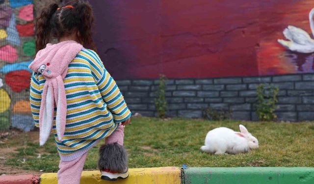 Sivrice Kadın Cezaevi EuroPris’te Avrupa Birincisi Oldu