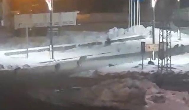 Sokağa İnen Kurtlar Mahalle Sakinlerini Tedirgin Etti