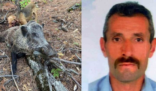 Domuz Avı Sırasında Saldırıya Uğrayan Avcı Yaşamını Yitirdi