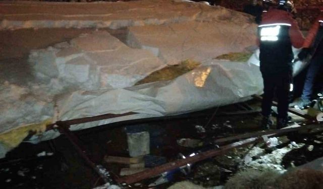 Karın Ağırlığına Dayanamayan Ahır Çöktü, 5 Küçükbaş Telef Oldu