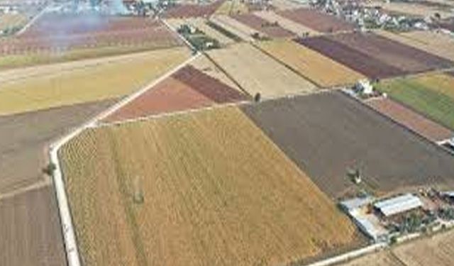 ARAZİ TOPLULAŞTIRMA VE TARLA İÇİ GELİŞTİRME İŞLERİ YAPTIRILACAKTIR