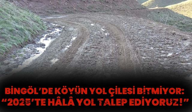 Bingöl’de Köyün Yol Çilesi Bitmiyor: “2025’te Hâlâ Yol Talep Ediyoruz!”