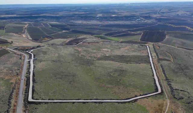 Diyarbakır'da 195 Dönümlük Alanda 15 Bin Hayvana Barınma İmkanı Sağlanacak