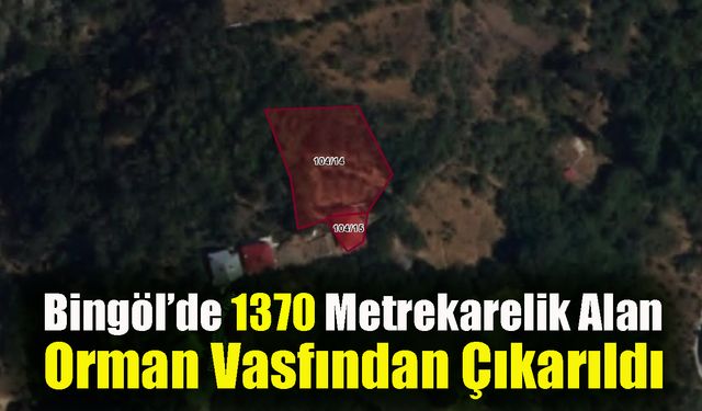 Bingöl’de 1370 Metrekarelik Alan Orman Vasfından Çıkarıldı