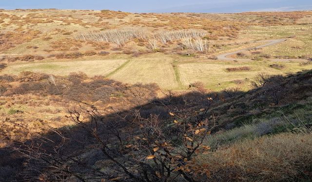 “Taş Ocağı mı? Orman mı? Su mu? Hadi Gelin Birlikte Mantık Arayalım!”