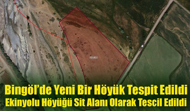 Bingöl’de Yeni Bir Höyük Tespit Edildi:  Ekinyolu Höyük