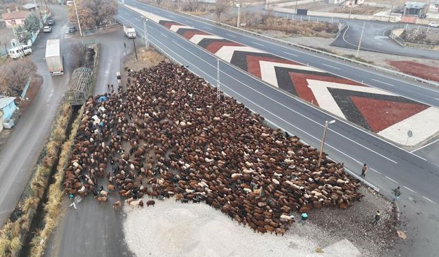 Kış Aylarını Bingöl Dağlarında Geçiren Göçerler Memleketlerine Döndü