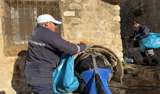 Mardin'deki Kadrolu Eşekleri Emekliye Ayıracak Proje