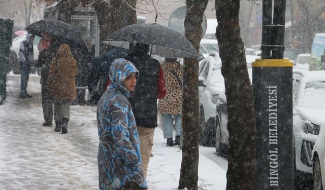 Bingöl'e Haftasonu Kar Yağışı Geliyor!