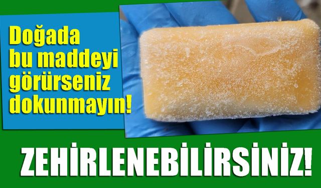 Doğada bu maddeyi görürseniz dokunmayın! Zehirlenebilirsiniz…