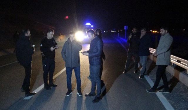 Malatya'da Yola Çıkan Yarış Atları Kazalara Yolaçtı: 2 Yaralı
