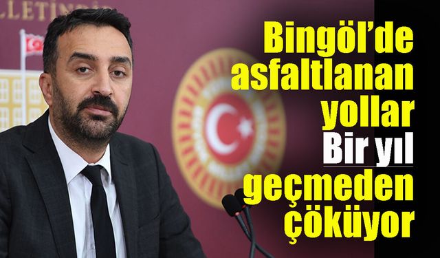 Bingöl’de asfaltlanan yollar bir yıl geçmeden çöküyor