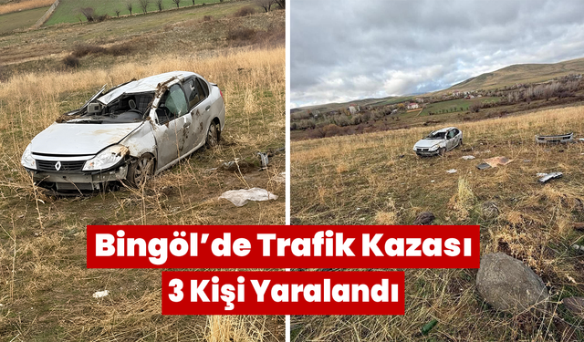 Bingöl’de Trafik Kazası: 3 Kişi Yaralandı