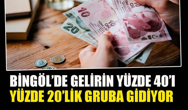 Bingöl’de gelirin yüzde 40’ı, yüzde 20’lik gruba gidiyor