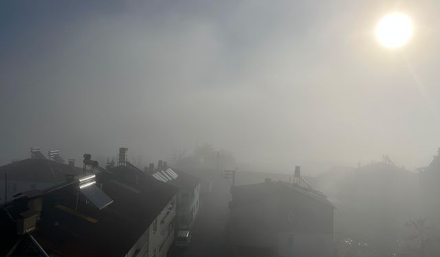 Bingöl’de Sabah Saatlerinde Yoğun Sis Etkili Oldu