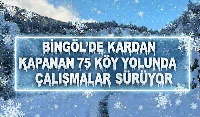 Bingöl’de kardan dolayı kapanan 75 köy yolunda çalışmalar sürüyor