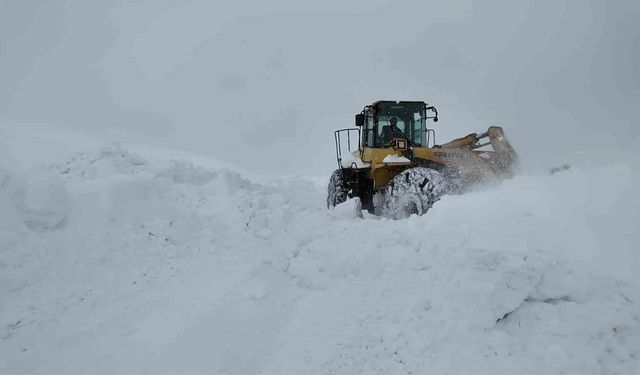 Bingöl’de Açılan Köy Yolları Tipi Nedeniyle Yeniden Kapandı
