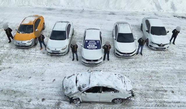 Bingöl’de Araç Dolandırıcıları Yakalandı