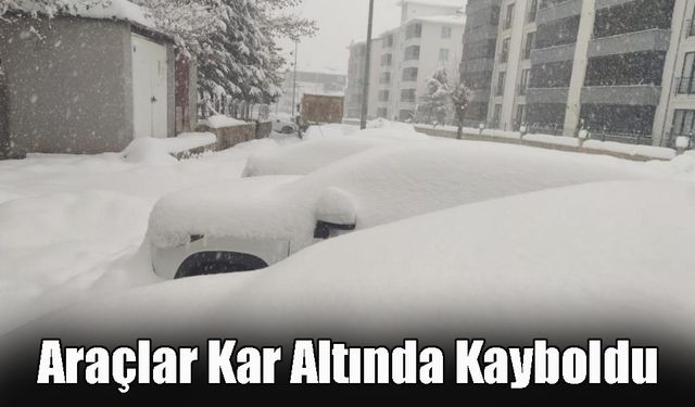 Bingöl'de Araçlar Kar Altında Kayboldu