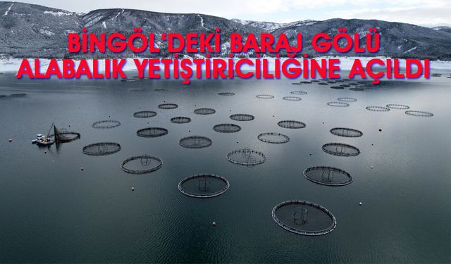 Bingöl’deki Baraj Gölü Alabalık Yetiştiriciliğine Açıldı