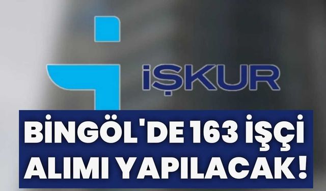 Bingöl'de 163 İşçi Alımı Yapılacak!