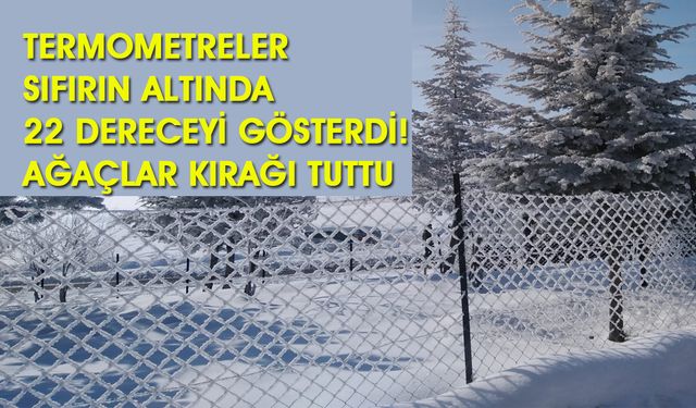 Bingöl Buz Kesti: Termometreler Sıfırın Altında 22 Dereceyi Gösterdi