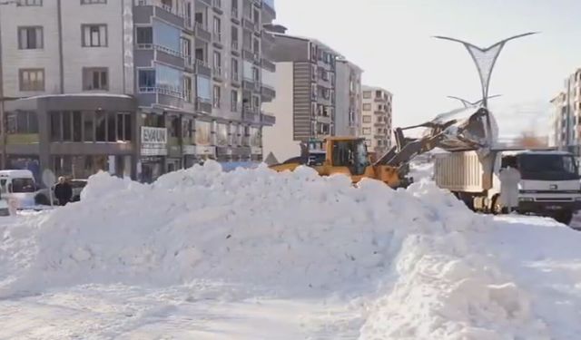 Genç’te Kar ve Çatı Saçaklarındaki Buz Kütleleriyle Mücadele Çalışması