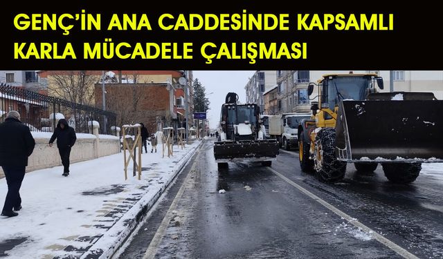 Genç İlçe Merkezinde Ana Caddedeki Karlar Kaldırıldı