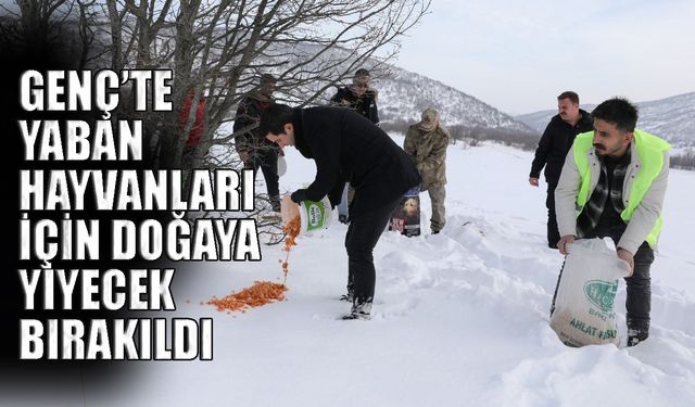 Genç’te Yaban Hayvanları İçin Doğaya Yiyecek Bırakıldı