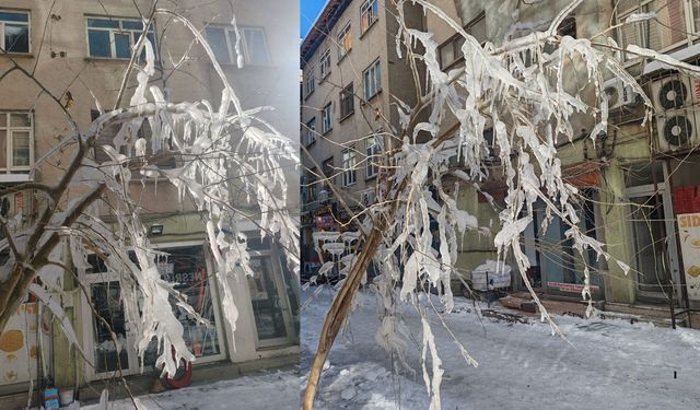 Bingöl'ün 3 ilçesinde eğitime 1 gün ara verildi