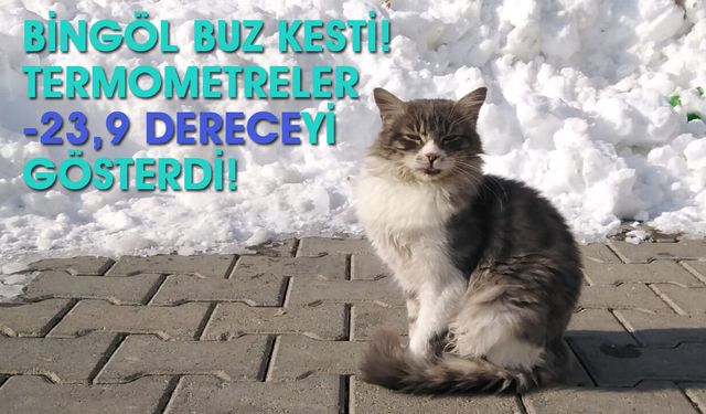 Doğu Anadolu Rekor Kırdı: Bingöl'de Termometreler Sıfırın Altında 23,9’u Gösterdi!
