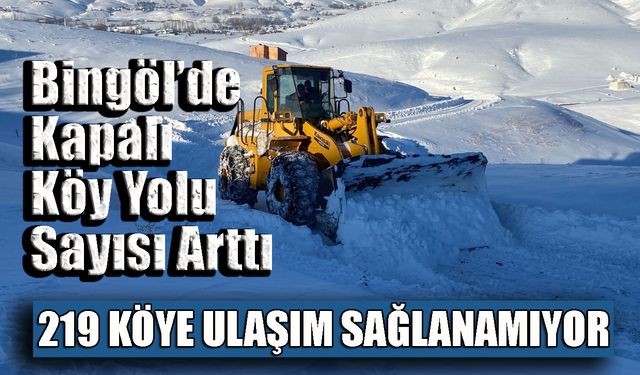 Bingöl’de Kapalı Köy Yolu Sayısı Arttı