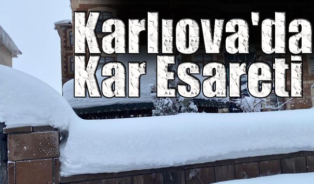 Karlıova'da Kar Esareti