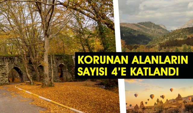 Korunan Alan Sayısı 4'e Katlandı