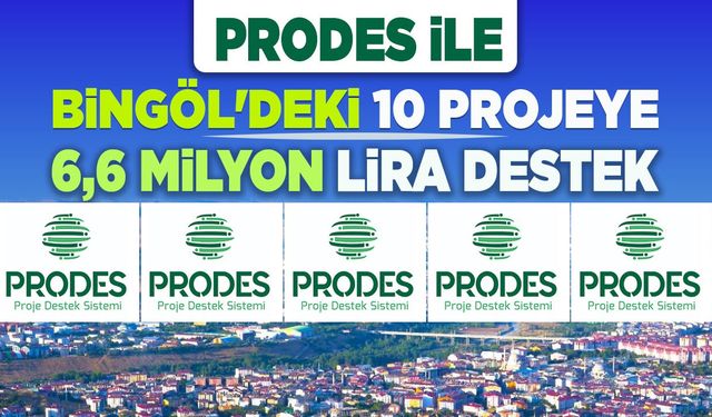 PRODES ile Bingöl'deki 10 Projeye 6,6 Milyon Lira Destek