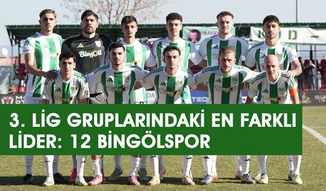 3. Lig Gruplarındaki En Farklı Lider: 12 Bingölspor
