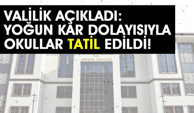 Bingöl’de Yoğun Kar ‘Tatil’ Getirdi